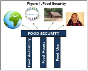 Land Tenure And Food Security | LandLinks