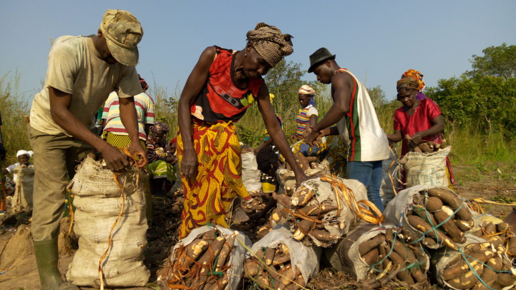 facilitating-land-tenure-security-for-women-through-economic