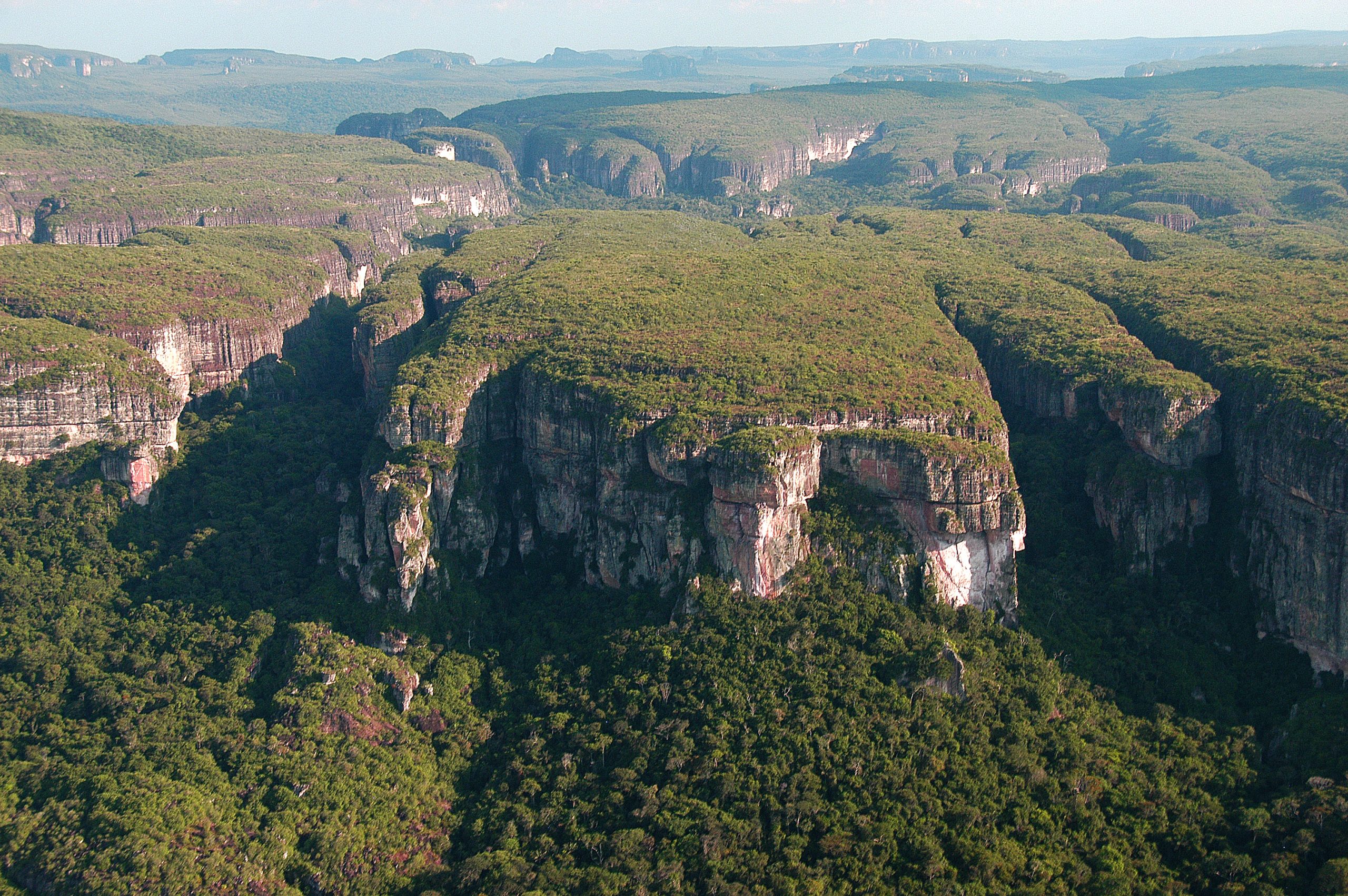 Chiribiquete: Protecting Colombia’s Largest National Park | LandLinks