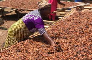female cocoa worker in Ghana