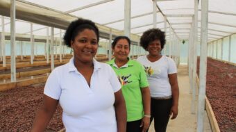 three women stand among harvested cocao