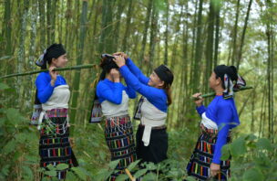 Four women in traditional dress pose for the camera in a bamboo forest.