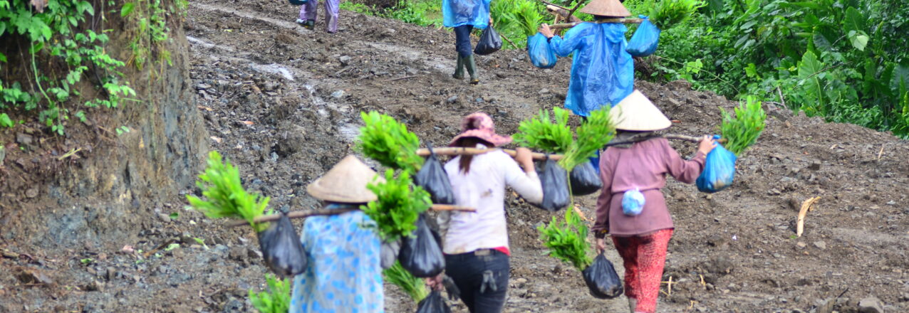 Several women, each holding bags of foraged plants, walk up a muddy slope while facing away from the camera.