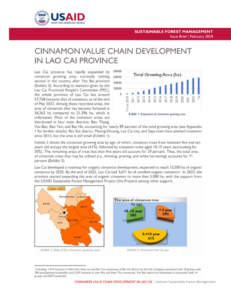 screenshot of page 1 of "Cinnamon Value Chain in Lao Cai Province"