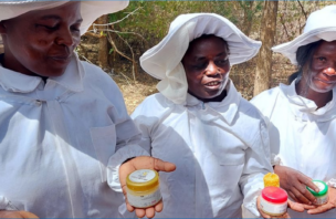 VALUE-ADDED PRODUCTS MADE BY BEEKEEPING GROUPS DURING TRAINING IN THE SEL.