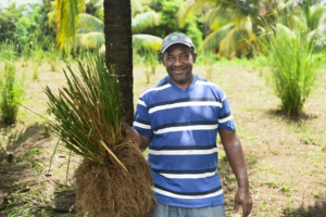 a man stands with harvested grass