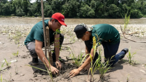 two men on the ground, investigating mud and plants.