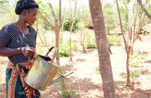 A woman waters a tree